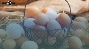 سعر كرتونة البيض في بورصة الدواجن والأسواق الاثنين 3-11-2025